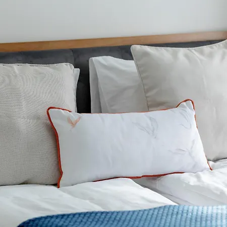 Apartment Minimalist Bright Kopernika Near Old Town In By Renters